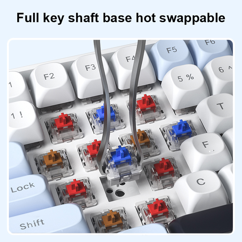 AULA S100Pro Wireless Mechanic - Gaming Keyboard Hot Swappable 评论和价格